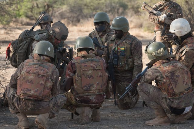 FAMa Mali