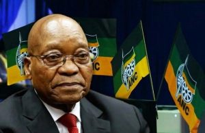 Afrique du Sud: Jacob Zuma radié du Congrès national africain (ANC)