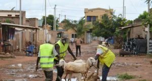 Ouagadougou: environ 3 500 animaux mis en fourrière en 2023