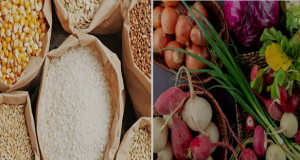 Côte d’Ivoire: interdiction d’exportation de certains produits vivriers pour six mois