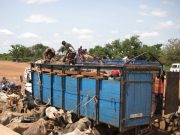 Burkina: le transport de bétail des Banwa vers toute autre destination suspendu