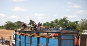 Burkina: le transport de bétail des Banwa vers toute autre destination suspendu