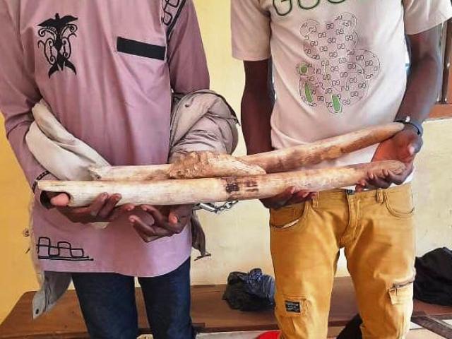 les-trafs-arretes-1