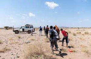 Migration clandestine: plus de 1 300 Africains ont péri, en 2023, sur les routes de l’Europe