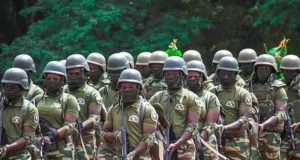Burkina: propagation d’ « allégations ternissant l’image du Corps des Eaux et Forêts »