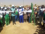 Résilience environnementale: la SONABEL met en terre 10 743 plants locaux sur 12.5 hectares à Zongo