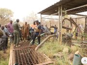 Centre pénitentiaire agricole de Baporo : Accroître les superficies exploitables pour une plus grande productivité