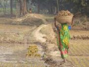 Ces femmes qui ne connaissent pas de 8-Mars!