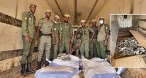 Sénégal: plus de 1 000 Kg de cocaïne saisis dans le Sud-Est du pays
