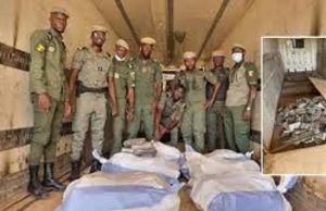 Sénégal: plus de 1 000 Kg de cocaïne saisis dans le Sud-Est du pays