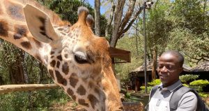 Plus de 20 000 espèces de plantes et animaux en danger de disparition imminente chaque année