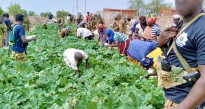 Burkina/Toéni: réalisation d’un jardin potager, après un constat de pénurie de légumes