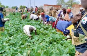 Burkina/Toéni: réalisation d’un jardin potager, après un constat de pénurie de légumes