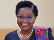 Togo: un gouvernement de 35 membres pour conduire la transition