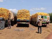 Burkina: saisie de 1 040 tonnes de riz avarié à Dakola