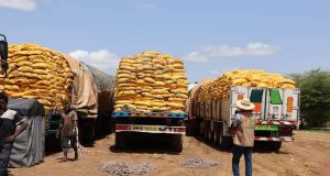 Burkina: saisie de 1 040 tonnes de riz avarié à Dakola