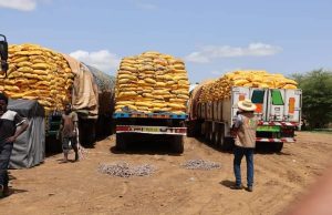 Burkina: saisie de 1 040 tonnes de riz avarié à Dakola
