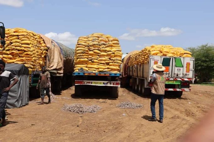 Burkina: saisie de 1 040 tonnes de riz avarié à Dakola