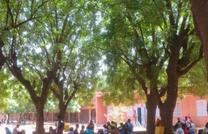 Burkina/Baccalauréat 2024: la «famille des meilleures» au Bambata