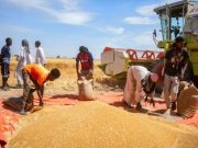Le Soudan est confronté à une catastrophe alimentaire sans précédent, selon des agences de l’ONU