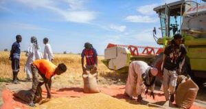 Le Soudan est confronté à une catastrophe alimentaire sans précédent, selon des agences de l’ONU