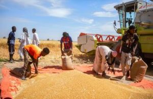 Le Soudan est confronté à une catastrophe alimentaire sans précédent, selon des agences de l’ONU