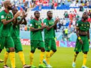 Cameroun: qui pour mettre de l’ordre dans la tanière des Lions?