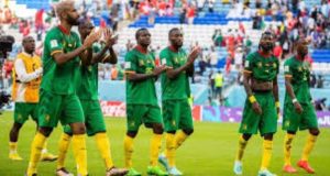 Cameroun: qui pour mettre de l’ordre dans la tanière des Lions?