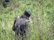 Les Etats-Unis sanctionnent l’armée rwandaise et 4 officiers supérieurs