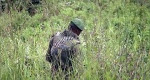 Les Etats-Unis sanctionnent l’armée rwandaise et 4 officiers supérieurs