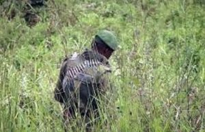 Les Etats-Unis sanctionnent l’armée rwandaise et 4 officiers supérieurs