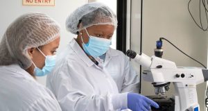 Grippe aviaire: l’OMS mise sur le développement de vaccins à ARN messager
