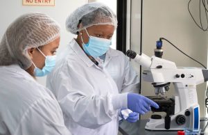 Grippe aviaire: l’OMS mise sur le développement de vaccins à ARN messager