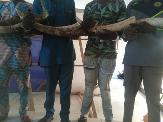 trafs kara 30 juin 2024