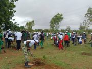 Koudougou: des agents de la SONABEL mettent en terre 775 plants