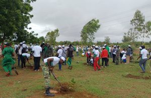 Koudougou: des agents de la SONABEL mettent en terre 775 plants