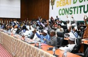Nouvelle Constitution en Guinée: le bicaméralisme en projet