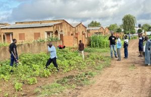Ouagadougou/Reboisement: l’association « Etre et agir utile » plante des variétés locales à Bassinko