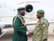 Niger-Nigeria: la fleur au fusil pour la réconciliation?
