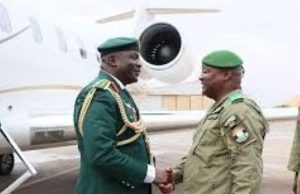 Niger-Nigeria: la fleur au fusil pour la réconciliation?