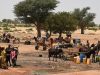 Au Mali, au Niger et au Sénégal, les enfants confrontés à des températures supérieures à 35°C plus de la moitié de l’année