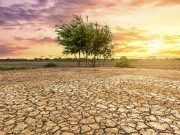 COP30 : Énergie et climat en tension au cœur de l’Amazonie