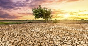 COP30 : Énergie et climat en tension au cœur de l’Amazonie