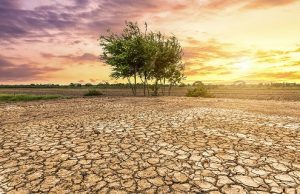 COP30 : Énergie et climat en tension au cœur de l’Amazonie