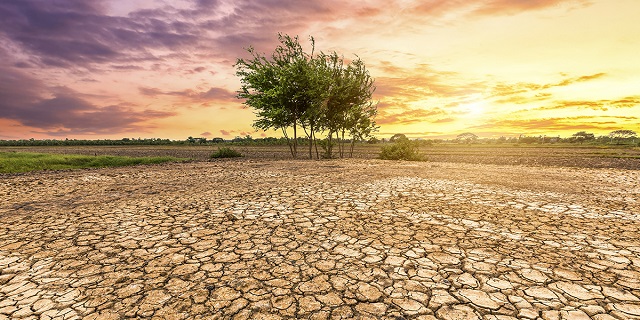 Effet du réchauffement climatique (Image d'archive)