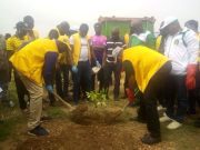 Université Thomas Sankara: des Lions aux doigts verts