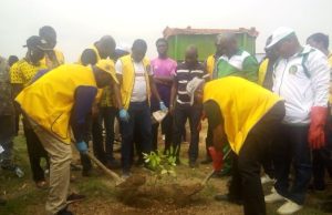 Université Thomas Sankara: des Lions aux doigts verts