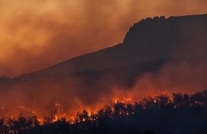 Neuf personnes sur dix respirent un air impropre à la consommation (ONU)