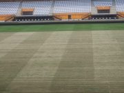 Stade Félix Houphouët-Boigny: des travaux entamés pour le renouvellement du gazon