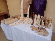 Criminalité faunique: deux trafiquants d’ivoire mis aux arrêts à Lomé